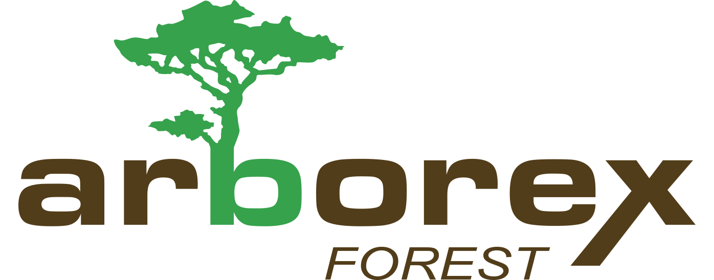 Arborex, abattage, élagage d'arbres et exploitation forestière en Belgique, Luxembourg et France.